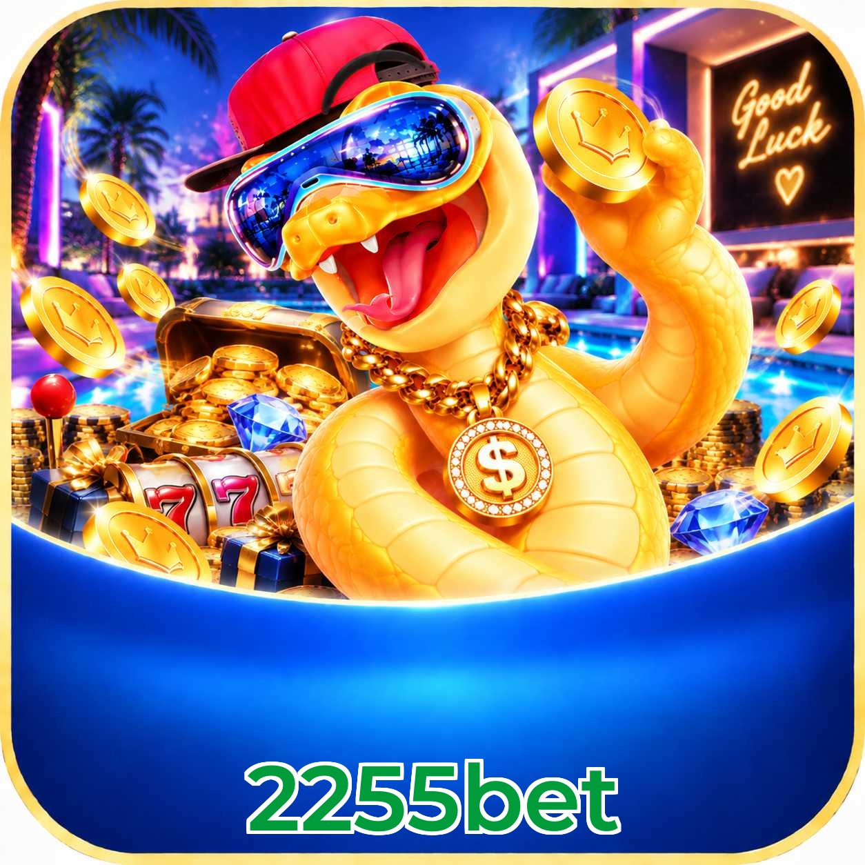 2255bet App vs Web